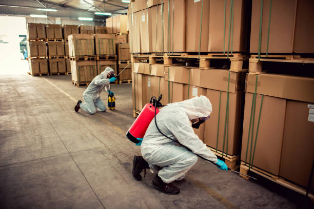 Best Flea Control Services  in Harrisburg, SD