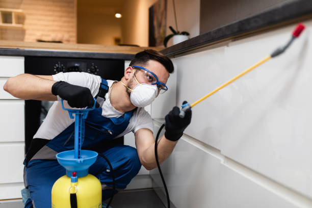 Best Local Pest Control Services  in Harrisburg, SD