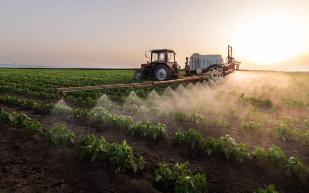 Best Pest Removal Services  in Harrisburg, SD