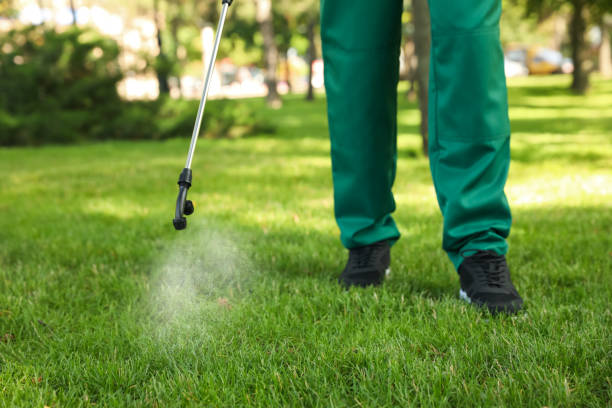 Best Insect Control  in Harrisburg, SD