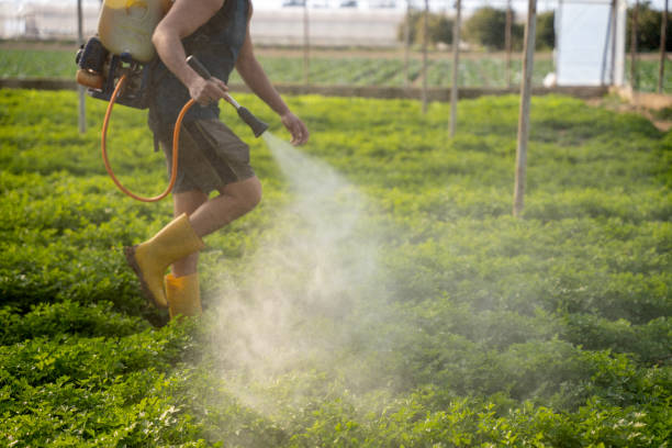 Best Pest Control Near Me  in Harrisburg, SD
