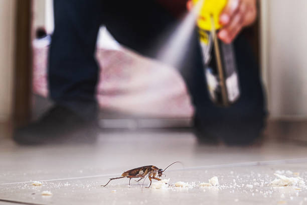 Best Residential Pest Control  in Harrisburg, SD
