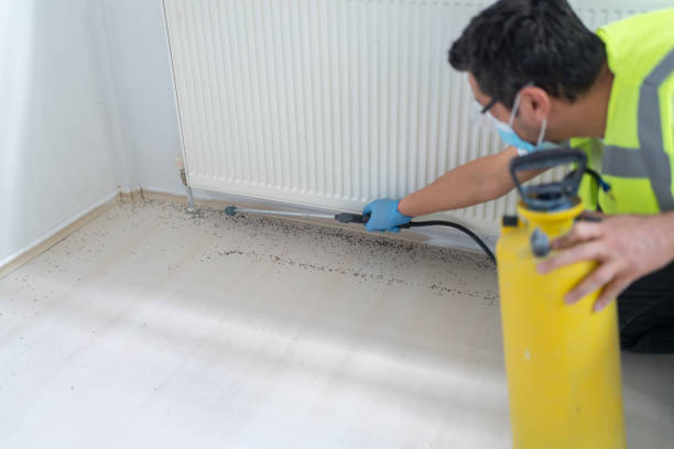 Best Commercial Pest Control Services  in Harrisburg, SD