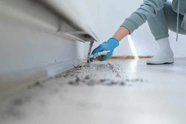 Best Pest Prevention Services  in Harrisburg, SD