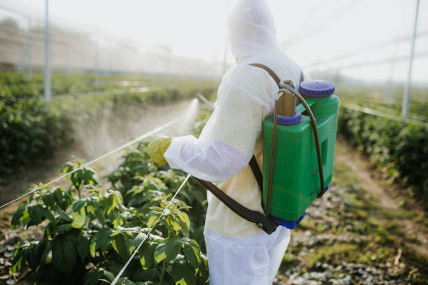 Best Pest Prevention Services  in Harrisburg, SD